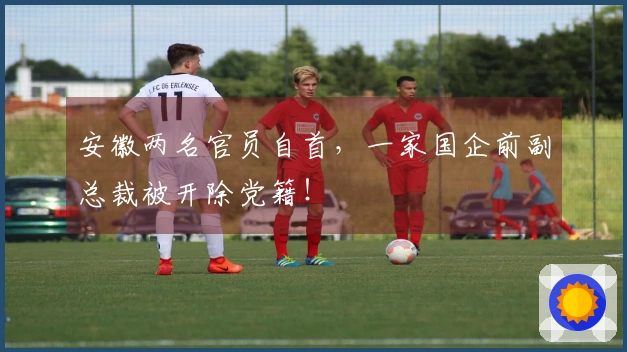 安徽两名官员自首，一家国企前副总裁被开除党籍！