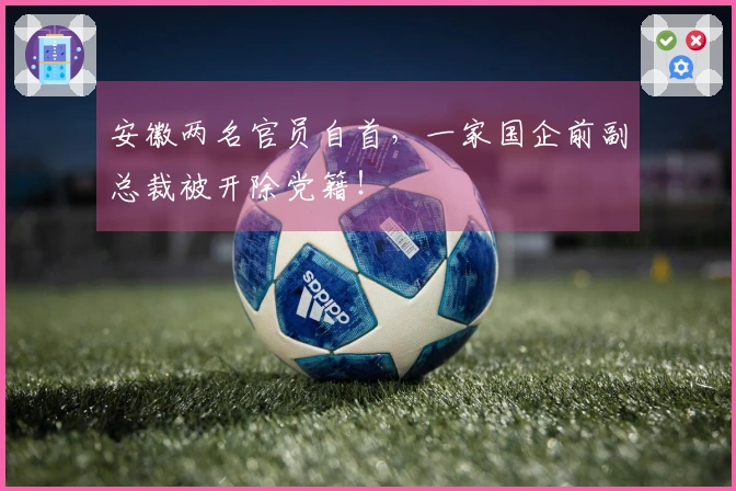 安徽两名官员自首，一家国企前副总裁被开除党籍！