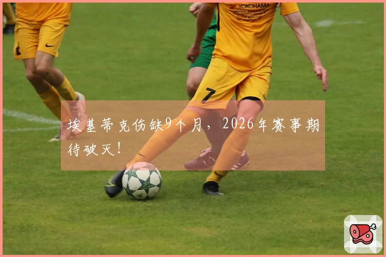 埃基蒂克伤缺9个月，2026年赛事期待破灭！
