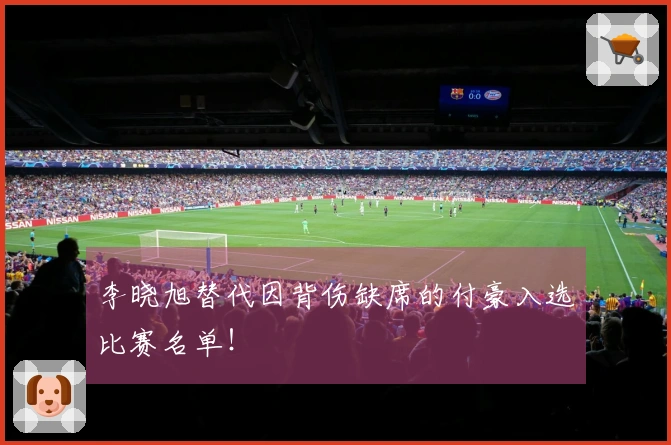 李晓旭替代因背伤缺席的付豪入选比赛名单！